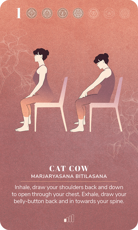 Card 1, Cat Cow