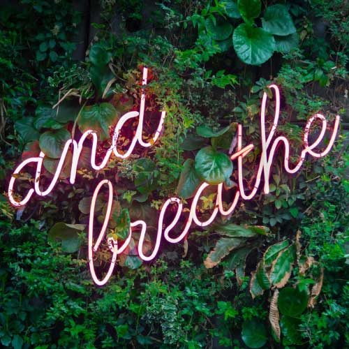 Pranayama: How to cultivate Ahimsa with your breath
