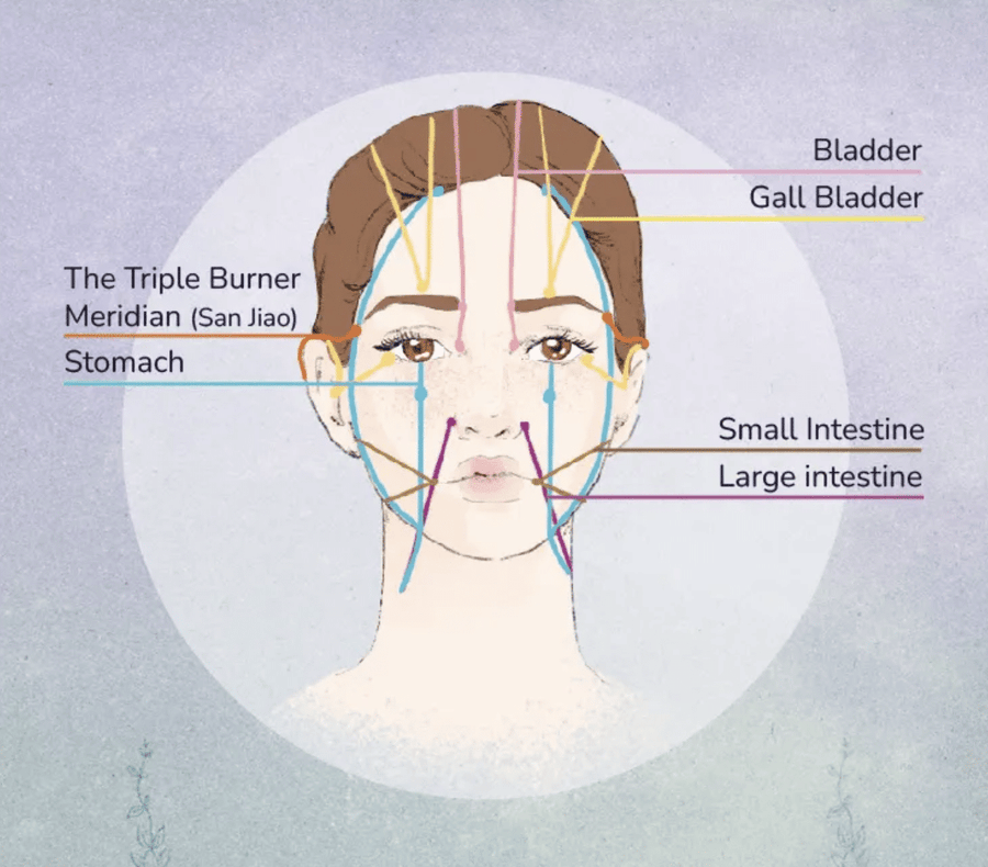 Understanding The Meridians – Definition and Types