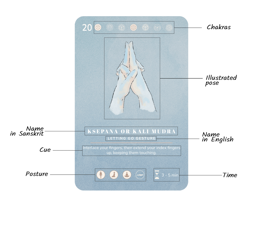 Anatomy of a mudra card