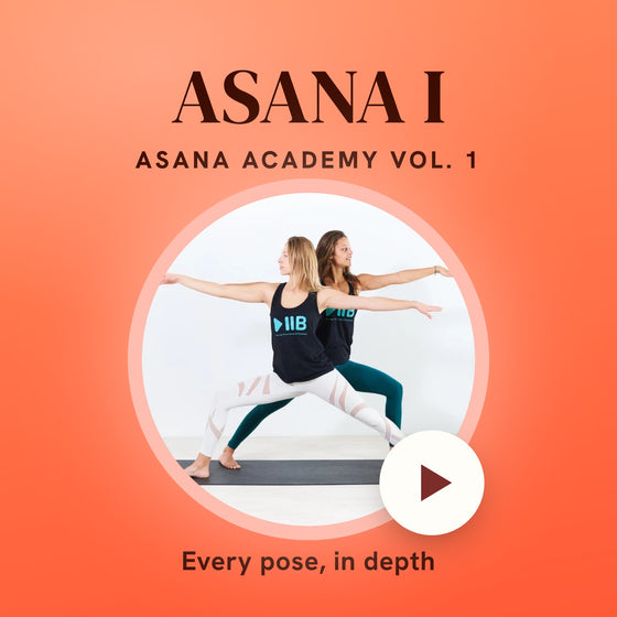 Asana Academy Vol. 1