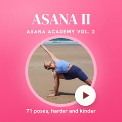 Asana Academy Vol. 2