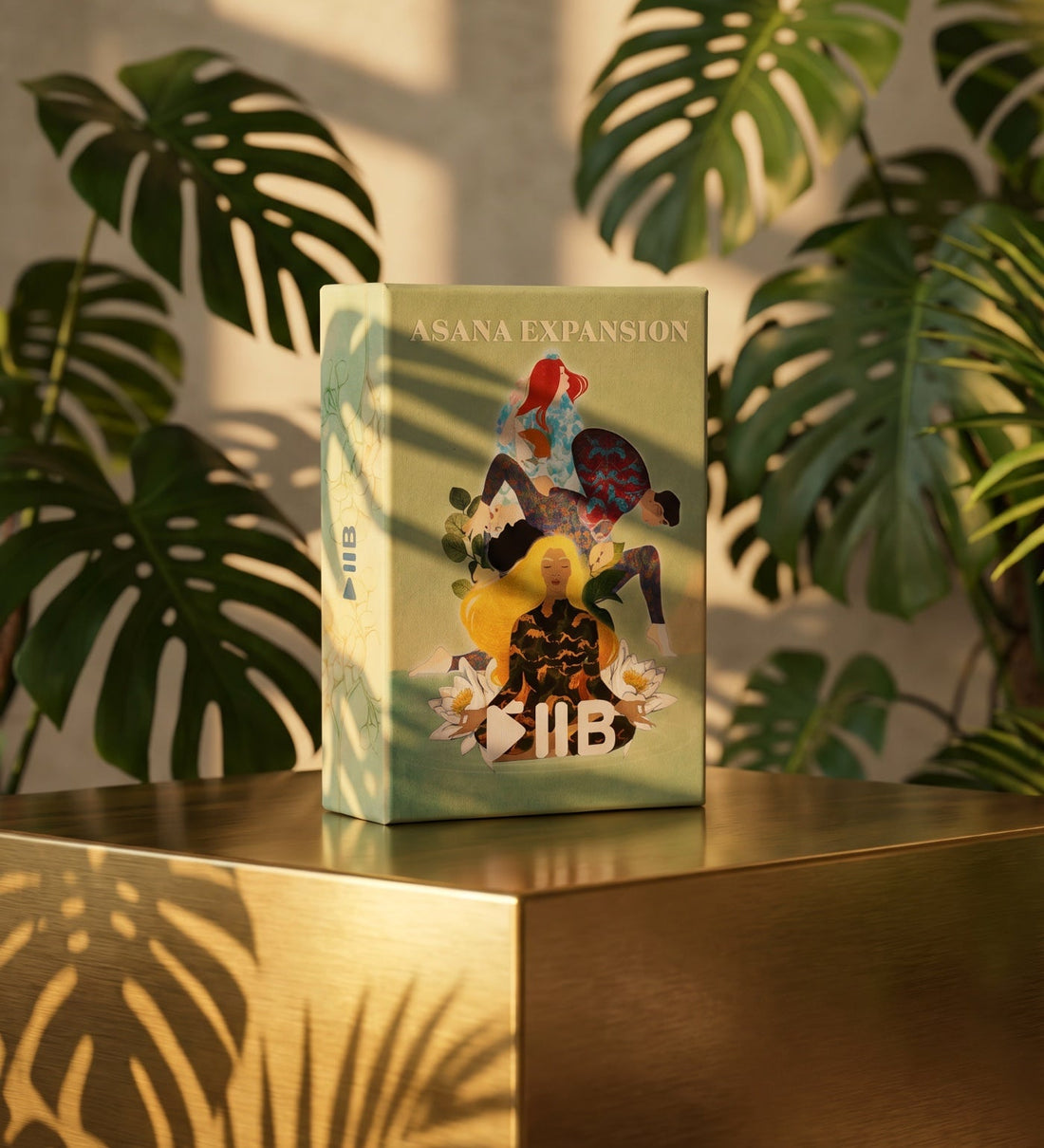 The Asana Expansion Deck box in the light
