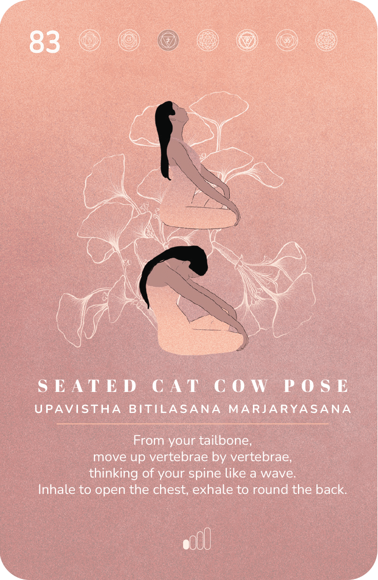 Asana Expansion card 83, Seated cat cow