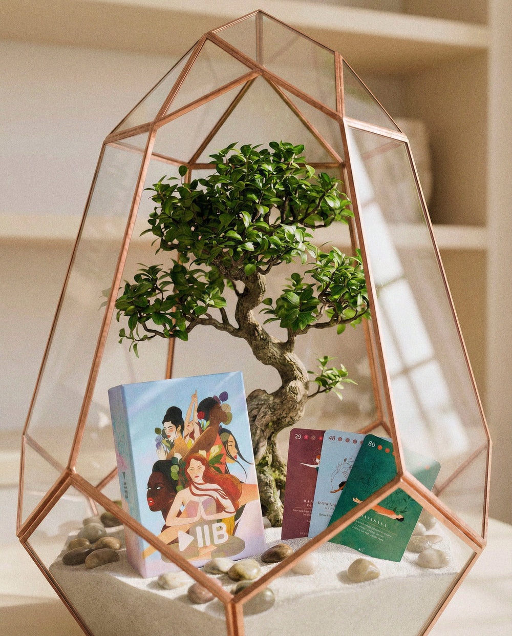A PlayPauseBe deck and three pose cards inside a copper terrarium with a bonsai