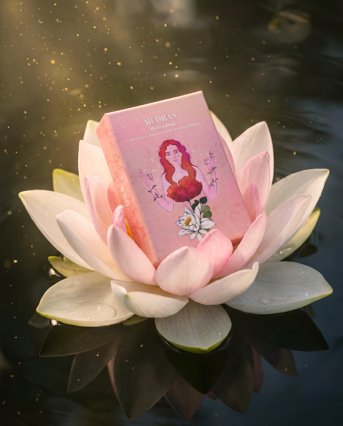 The box resting in a lotus flower on still water